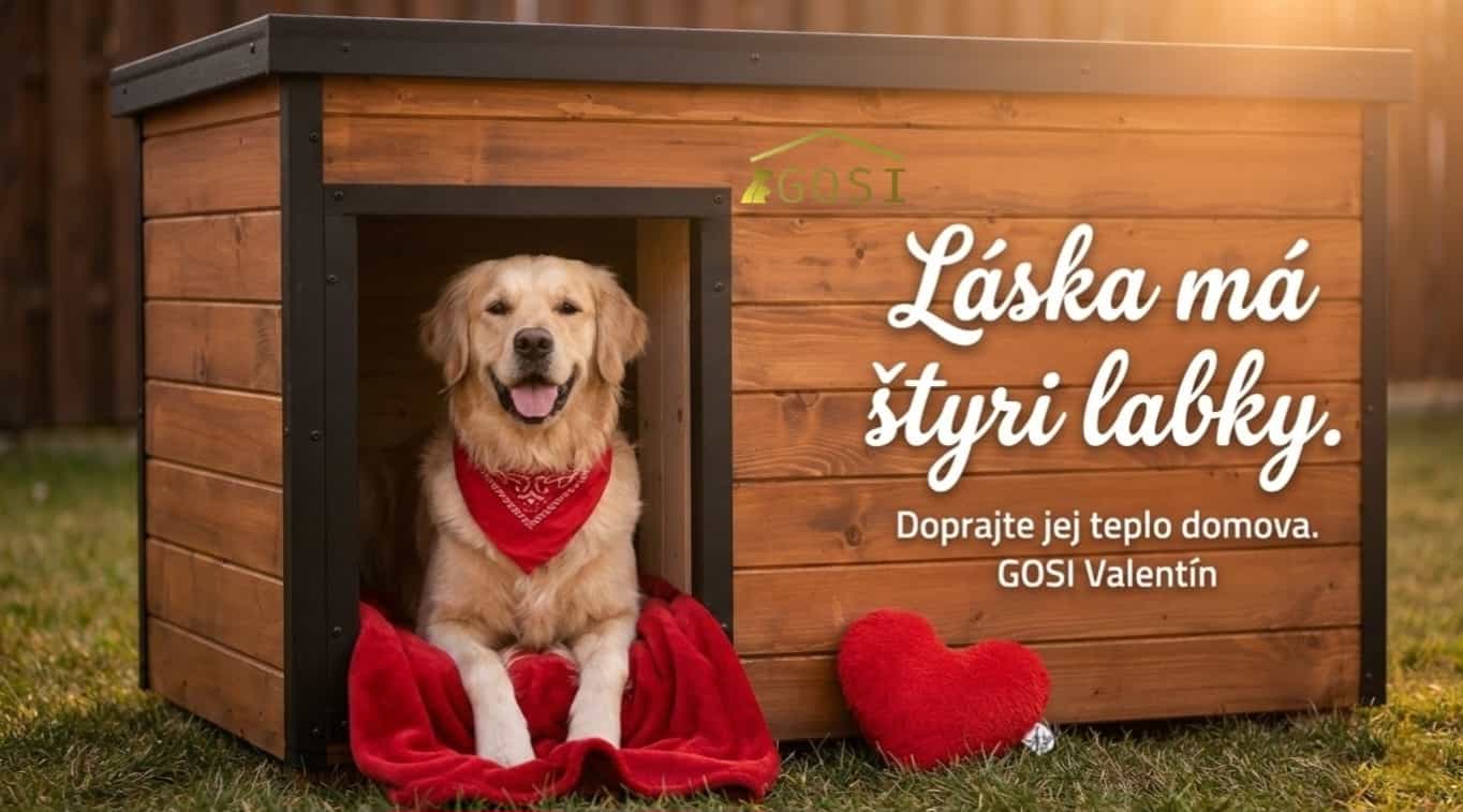 Zlatý retriever v zateplenej psej búde GOSI s valentínskym motívom a nápisom Láska má štyri labky